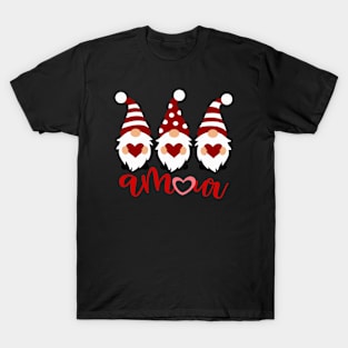 Amour with Love Gnomes for Valentine's Day Couples T-Shirt